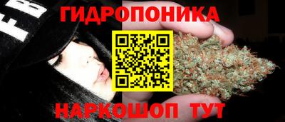 трава Ярославль