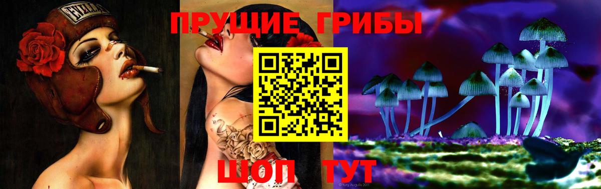 Галлюциногенные грибы Cubensis Луга